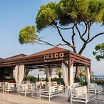 Papillon Ayscha & Belek