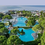 Papillon Ayscha & Belek