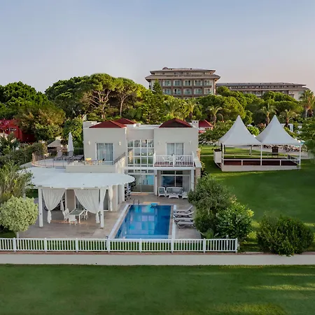 Papillon Ayscha & 5*