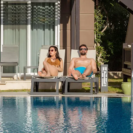 Papillon Ayscha & Belek