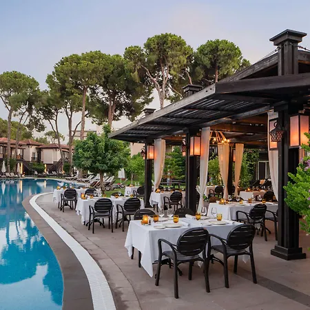 パピヨン アイシャ ＆ スパ