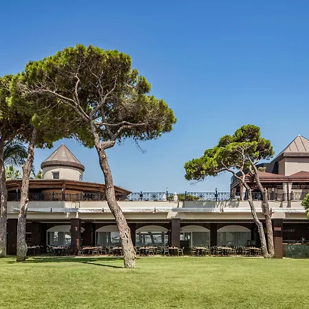 Papillon Ayscha & 5*