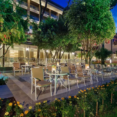 Papillon Ayscha & 베렉