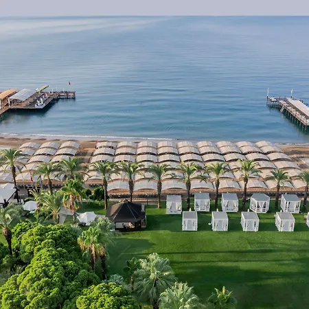 Papillon Ayscha & 5*