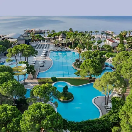 Papillon Ayscha & Belek