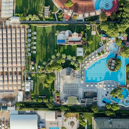 Papillon Ayscha & 5*