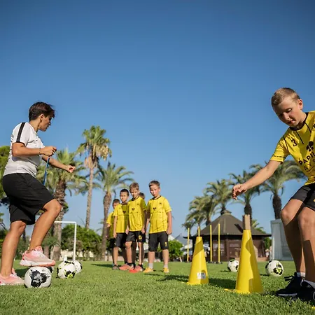 리조트 Papillon Ayscha &