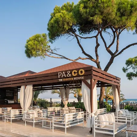 Papillon Ayscha & Belek