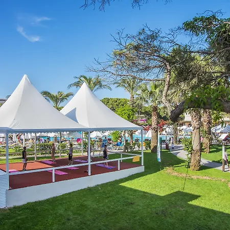 Papillon Ayscha & 5*